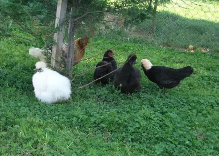 Lavanda 3 By Interhome Holiday home Porec